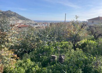 IMG_0906.JPG - Agricultural land Taggia - photo 7