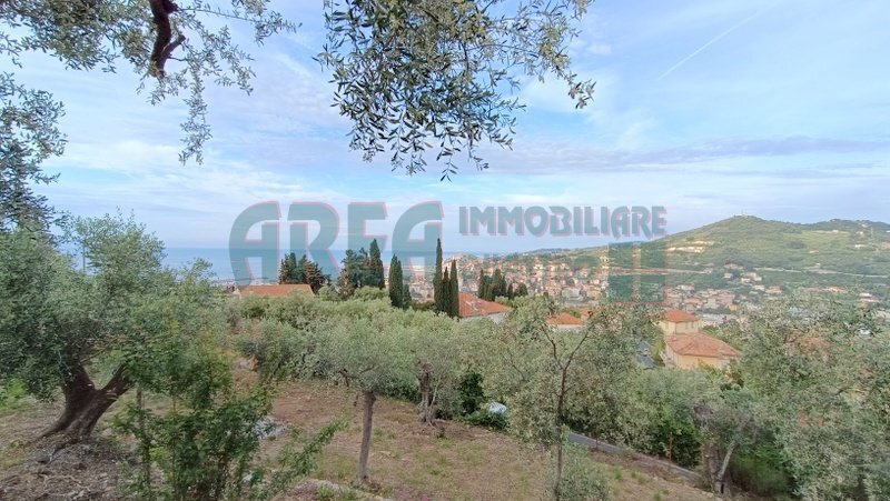 IMG_20240513_080538.jpg - Agricultural land Via Fanny Roncati Carli 131, Imperia - photo 1