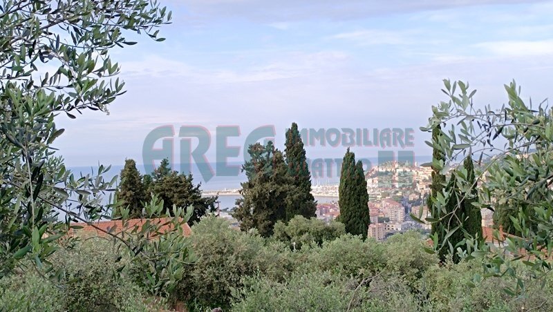 IMG_20240513_080445.jpg - Agricultural land Via Fanny Roncati Carli 131, Imperia - photo 3