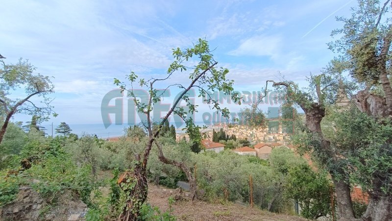 IMG_20240513_080658.jpg - Agricultural land Via Fanny Roncati Carli 131, Imperia - photo 2