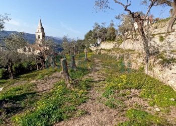 IMG_20220301_150808-001.jpg - Agricultural land Via Fanny Roncati Carli 131, Imperia - photo 10
