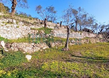 IMG_20220301_150850.jpg - Agricultural land Via Fanny Roncati Carli 131, Imperia - photo 9