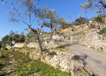 IMG_20220301_150805.jpg - Agricultural land Via Fanny Roncati Carli 131, Imperia - photo 8