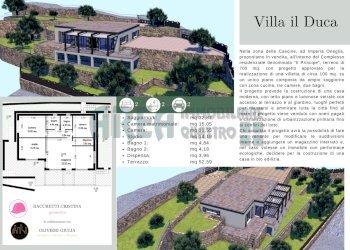 bacheca 2.png - Agricultural land Via Fanny Roncati Carli 131, Imperia - photo 12