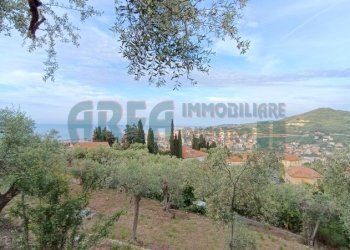 IMG_20240513_080538.jpg - Agricultural land Via Fanny Roncati Carli 131, Imperia - photo 1