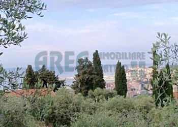 IMG_20240513_080445.jpg - Agricultural land Via Fanny Roncati Carli 131, Imperia - photo 3