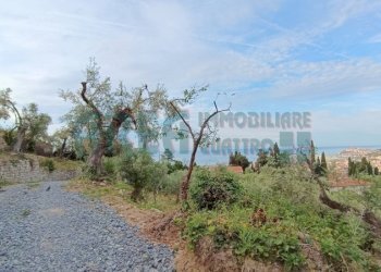 IMG_20240513_080637 (1).jpg - Agricultural land Via Fanny Roncati Carli 131, Imperia - photo 7