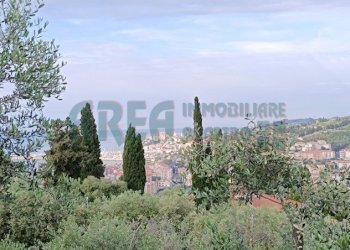 IMG_20240513_080434.jpg - Agricultural land Via Fanny Roncati Carli 131, Imperia - photo 11