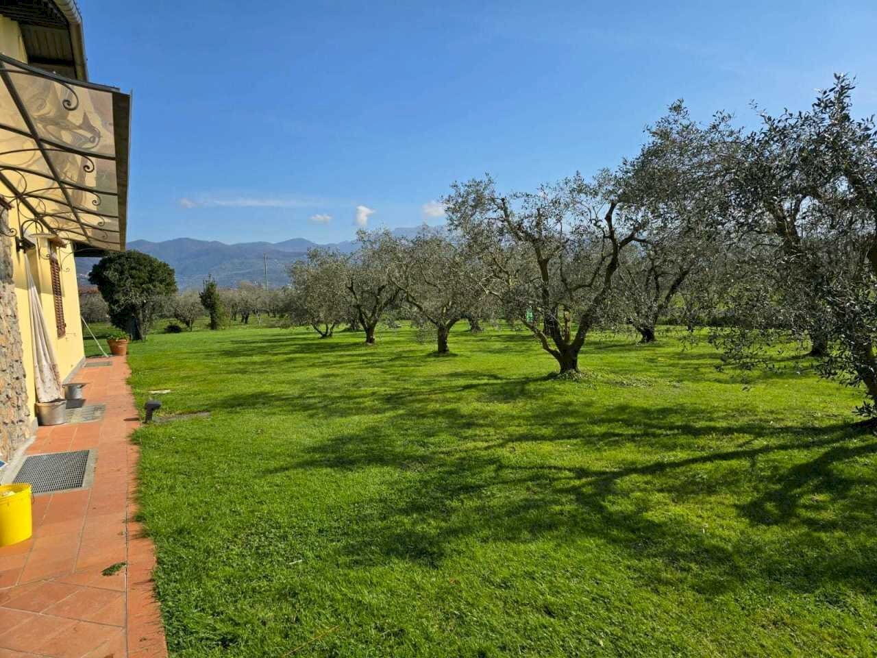 Immagine WhatsApp 2024-03-25 ore 11.06.53_eed0ef15 - Independent house Ameglia - photo 2