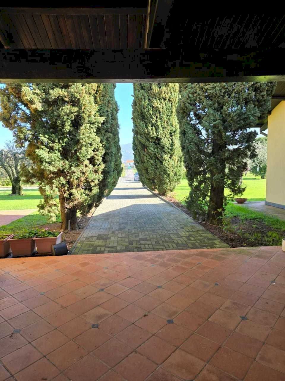 Immagine WhatsApp 2024-03-25 ore 11.06.55_67a78a90 - Independent house Ameglia - photo 3