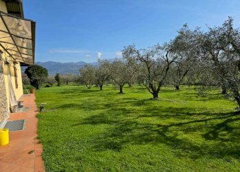 Immagine WhatsApp 2024-03-25 ore 11.06.53_eed0ef15 - Independent house Ameglia - photo 2