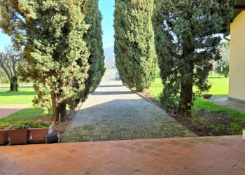 Immagine WhatsApp 2024-03-25 ore 11.06.55_67a78a90 - Independent house Ameglia - photo 3