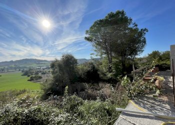 CAD0207E-F1DF-41D5-A059-8EB3C1C7BD54.jpeg - Rustic via abbadia, Osimo - photo 17