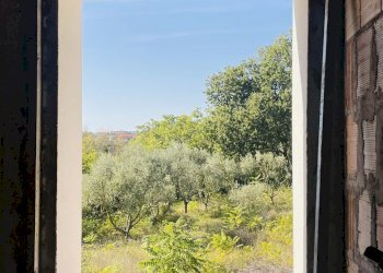 CB4271E1-DF83-4253-8D79-E57C72EC7C79.jpeg - Rustic via abbadia, Osimo - photo 29