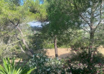 PHOTO-2024-04-03-10-05-32 2.jpg - Casale contrada cervarolo, Ostuni - foto 9