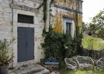 image00007.jpg - Casale contrada cervarolo, Ostuni - foto 2