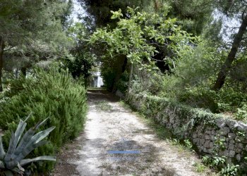 image00002.jpg - Casale contrada cervarolo, Ostuni - foto 11