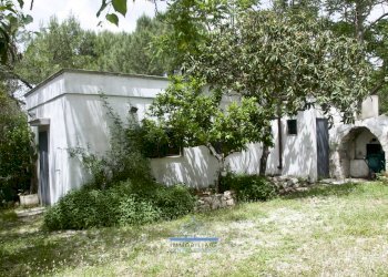 image00014.jpg - Casale contrada cervarolo, Ostuni - foto 16