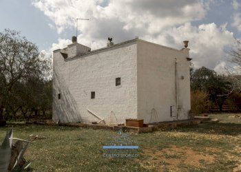 2103-6.jpg - Casale Via Papa Giovanni XXIII, Ostuni - foto 12