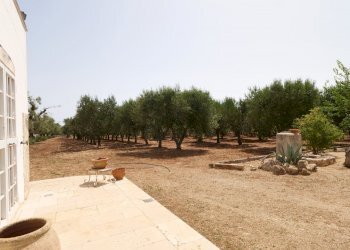 P1255061.jpg - Casale Via Papa Giovanni XXIII, Ostuni - foto 15