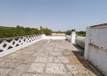 P1255090.jpg - Casale Via Papa Giovanni XXIII, Ostuni - foto 22