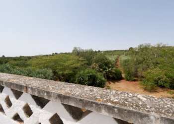 P1255093.jpg - Casale Via Papa Giovanni XXIII, Ostuni - foto 23