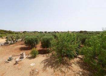 P1255097.jpg - Casale Via Papa Giovanni XXIII, Ostuni - foto 26