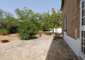 P1255101.jpg - Casale Via Papa Giovanni XXIII, Ostuni - foto 27