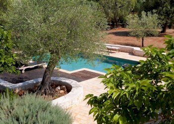 PHOTO-2021-10-19-20-24-23 4.jpg - Casa indipendente Contrada Tamburroni, Ostuni - foto 2