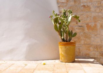 PHOTO-2021-10-19-20-24-23 8.jpg - Casa indipendente Contrada Tamburroni, Ostuni - foto 7