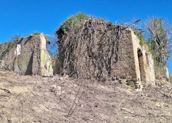 20240325_090712.jpg - Terreno agricolo Via delle Grotte 1521, Morlupo - foto 1