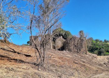 20240325_090613.jpg - Terreno agricolo Via delle Grotte 1521, Morlupo - foto 4