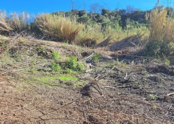 20240325_085042.jpg - Terreno agricolo Via delle Grotte 1521, Morlupo - foto 8