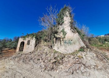 20240325_090124.jpg - Terreno agricolo Via delle Grotte 1521, Morlupo - foto 9
