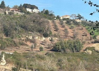 IMG-20240317-WA0001.jpg - Terreno agricolo Via delle Grotte 1521, Morlupo - foto 11