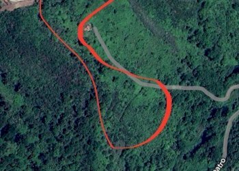 IMG-20240318-WA0040.jpg - Terreno agricolo Via delle Grotte 1521, Morlupo - foto 12