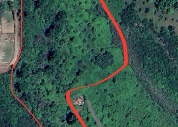 IMG-20240318-WA0041.jpg - Terreno agricolo Via delle Grotte 1521, Morlupo - foto 13