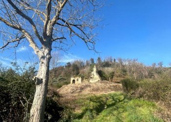 IMG-20240317-WA0003.jpg - Terreno agricolo Via delle Grotte 1521, Morlupo - foto 15