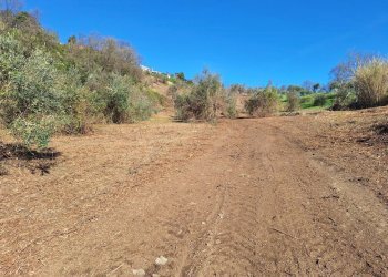 20240325_085046.jpg - Terreno agricolo Via delle Grotte 1521, Morlupo - foto 17