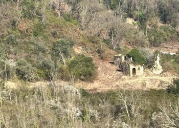 IMG-20240317-WA0005.jpg - Terreno agricolo Via delle Grotte 1521, Morlupo - foto 18