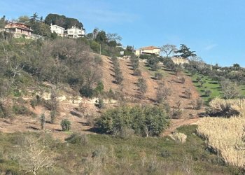 IMG-20240317-WA0007.jpg - Terreno agricolo Via delle Grotte 1521, Morlupo - foto 20