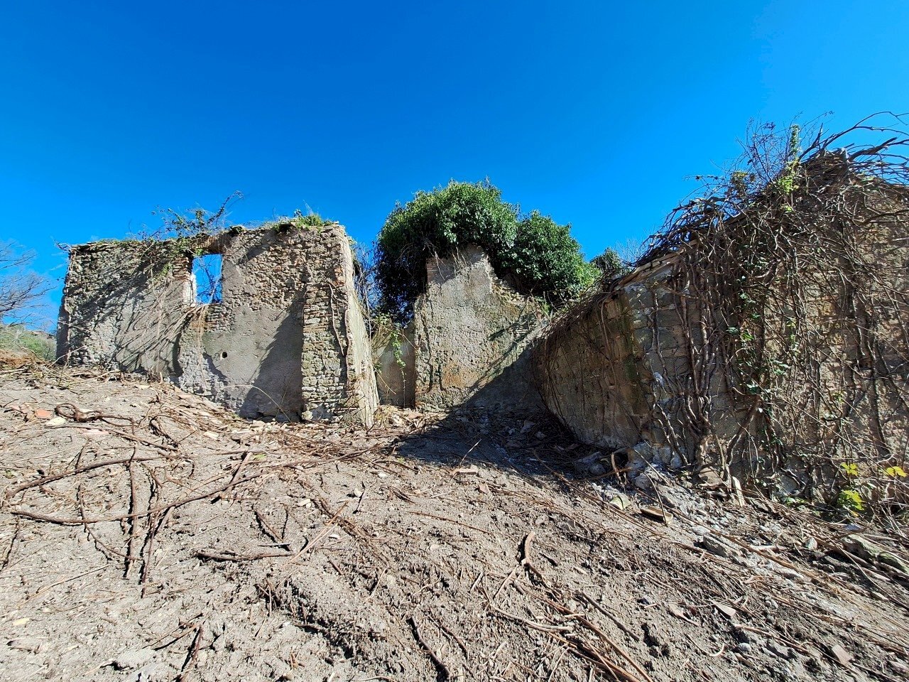 20240325_090247 - Copia.jpg - Stabile - Palazzo via delle grotte, Morlupo - foto 2