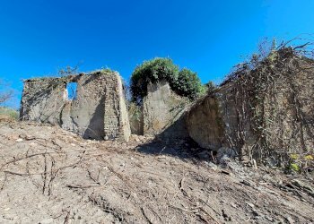 20240325_090247 - Copia.jpg - Stabile - Palazzo via delle grotte, Morlupo - foto 2