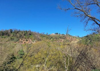 20240325_092345.jpg - Stabile - Palazzo via delle grotte, Morlupo - foto 9