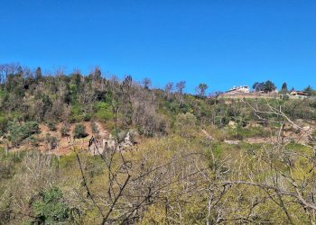 20240325_092359.jpg - Stabile - Palazzo via delle grotte, Morlupo - foto 10