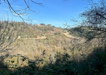 IMG-20240317-WA0004.jpg - Stabile - Palazzo via delle grotte, Morlupo - foto 14