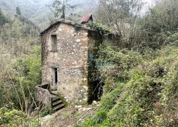 WhatsApp Image 2024-03-27 at 6.47.41 PM (3).jpeg - Casa semi indipendente Via Monte Grappa 1, Stazzema - foto 4