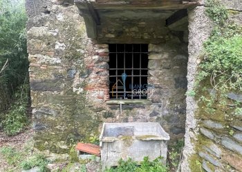 WhatsApp Image 2024-03-27 at 6.47.47 PM.jpeg - Casa semi indipendente Via Monte Grappa 1, Stazzema - foto 8