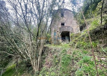 WhatsApp Image 2024-03-27 at 6.47.41 PM.jpeg - Casa semi indipendente Via Monte Grappa 1, Stazzema - foto 15