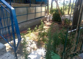 giardino - Porzione di casa Frazione Croce, Rovescala - foto 16